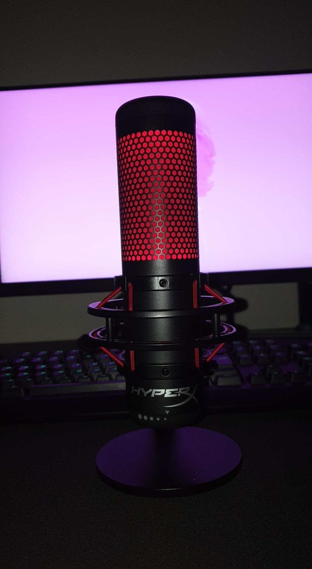 Idéal pour le télétravail et Twitch