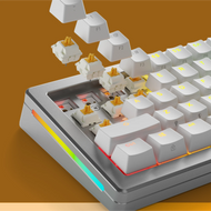 glorious-panda-mx-switches-tactiles-clavier-m-canique-pack-switches image 3