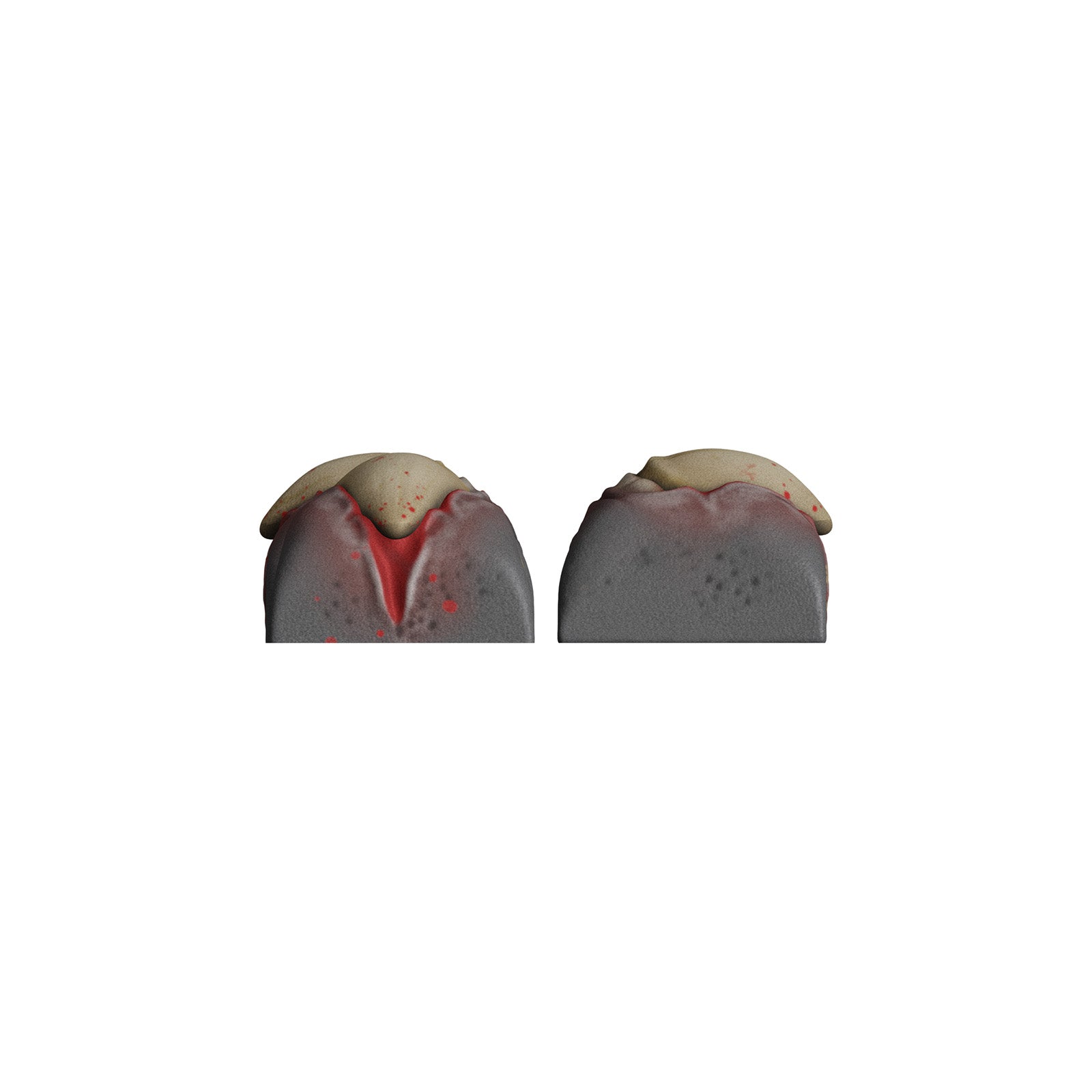 hyperx-hx3d-movement-set-werewolf-lot-de-touches-loup-garou image 6