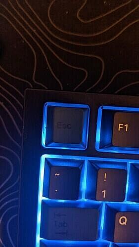 Belle upgrade pour 20€